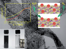 Graphical abstract: In situ controllable synthesis of magnetite nanocrystals/CoSe2 hybrid nanobelts and their enhanced catalytic performance