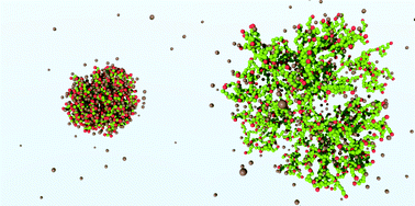 Graphical abstract: Conformations of high-generation dendritic polyelectrolytes