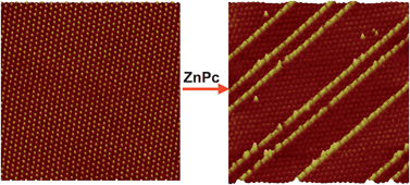 Graphical abstract: Molecular arrays formed in anisotropically rearranged supramolecular network with molecular substitutional asymmetry