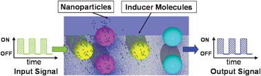 Graphical abstract: Biomimetic chemical signaling across synthetic microcapsule arrays