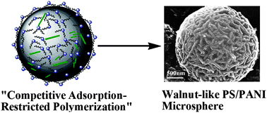 Graphical abstract: Synthesis of walnut-like hierarchical structure with superhydrophobic and conductive properties