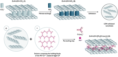 Graphical abstract: Intercalation of two-dimensional oxalate-bridged molecule-based magnets into layered double hydroxide hosts