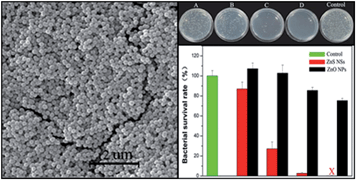 Graphical abstract: One-pot synthesis of monodispersed ZnS nanospheres with high antibacterial activity
