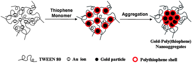 Graphical abstract: Luminescent gold–poly(thiophene) nanoaggregates prepared by one-step oxidative polymerization