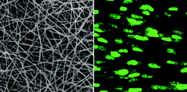 Graphical abstract: Use of an insulating mask for controlling anisotropy in multilayer electrospun scaffolds for tissue engineering