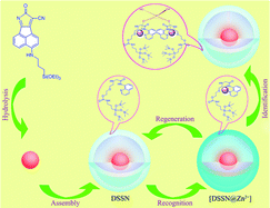 Graphical abstract: Ratiometric and reusable fluorescent nanoparticles for Zn2+ and H2PO4− detection in aqueous solution and living cells