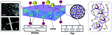 Graphical abstract: Surface modification of heteropoly acid/SPEEK membranes by polypyrrole with a sandwich structure for direct methanol fuel cells