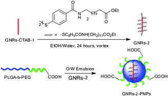 Graphical abstract: Polymeric entrapped thiol-coated gold nanorods: cytotoxicity and suitability as molecular optoacoustic contrast agent