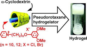 Graphical abstract: Physical gels based on supramolecular gelators, including host–guest complexes and pseudorotaxanes