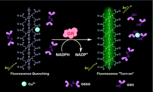 Graphical abstract: Fluorescence turn-on assay for glutathione reductase activity based on a conjugated polyelectrolyte with multiple carboxylate groups