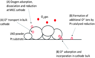 Graphical abstract: Evidence for the catalytic oxidation of La2NiO4+δ
