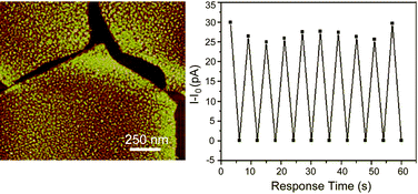 Graphical abstract: Individual nanocomposite sheets of chemically reduced graphene oxide and poly(N-vinyl pyrrolidone): preparation and humidity sensing characteristics