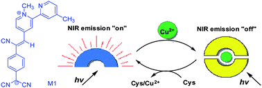 Graphical abstract: Colorimetric and near-infrared fluorescence turn-on molecular probe for direct and highly selective detection of cysteine in human plasma