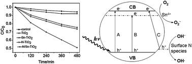 Graphical abstract: Improved visible light photocatalytic activity of titania doped with tin and nitrogen