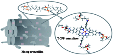 Graphical abstract: Synthesis and catalytic behavior of tetrakis(4-carboxyphenyl) porphyrin-periodic mesoporous organosilica