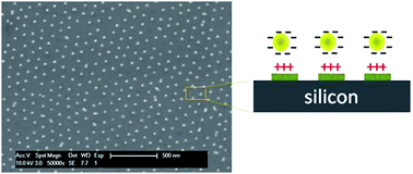 Graphical abstract: Electrostatic-guided positioning of gold colloids using periodic nanopatterns produced by block copolymer lithography