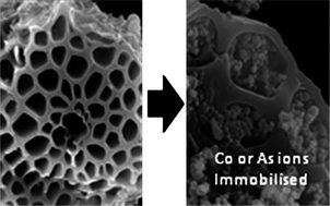 Graphical abstract: Hierarchical structures based on natural carbons and zeolites