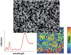 Graphical abstract: Electrodeposition of ZnO nanorods on opaline replica as hierarchically structured systems