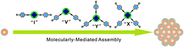 Graphical abstract: Rigid, conjugated and shaped arylethynes as mediators for the assembly of gold nanoparticles