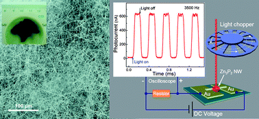 Graphical abstract: Fast-speed and high-gain photodetectors of individual single crystalline Zn3P2 nanowires