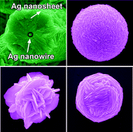 Graphical abstract: Acid-directed synthesis of SERS-active hierarchical assemblies of silver nanostructures