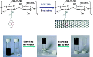 Graphical abstract: Polysaccharide-assisted incorporation of multiwalled carbon nanotubes into sol–gel silica matrix for electrochemical sensing