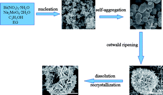 Graphical abstract: Facile solvothermal synthesis of hierarchical flower-like Bi2MoO6 hollow spheres as high performance visible-light driven photocatalysts