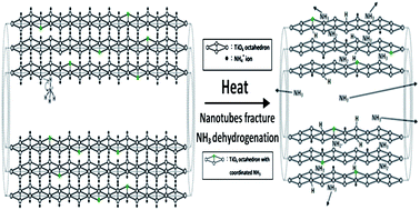 Graphical abstract: Chemistry in a confined space: characterization of nitrogen-doped titanium oxide nanotubes produced by calcining ammonium trititanate nanotubes
