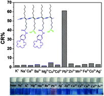 Graphical abstract: Benzo-15-crown-5 functionalized polydiacetylene-based colorimetric self-assembled vesicular receptors for lead ion recognition