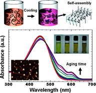 Graphical abstract: Solubility-driven polythiophene nanowires and their electrical characteristics