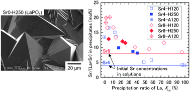 Graphical abstract: Precipitation behavior of highly Sr-doped LaPO4 in phosphoric acid solutions