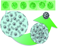 Graphical abstract: Controlled loading of superparamagnetic nanoparticles in fluorescent nanogels as effective T2-weighted MRI contrast agents
