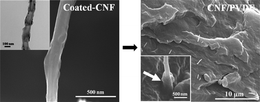 Graphical abstract: Fluorination deposition on carbon nanofibers by PTFE decomposition as a facile method to enhance dispersion and interaction in PVDF composites