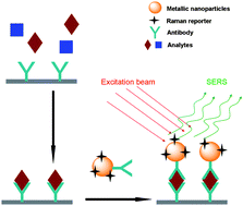 Graphical abstract: Bio-imaging, detection and analysis by using nanostructures as SERS substrates