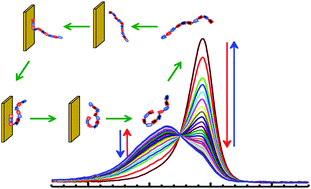 Graphical abstract: Reversible isomerization of a zwitterionic polysquaraine induced by a metal surface