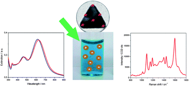 Graphical abstract: Solution-phase, dual LSPR-SERS plasmonic sensors of high sensitivity and stability based on chitosan-coated anisotropic silver nanoparticles