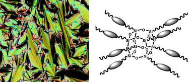 Graphical abstract: Organic–inorganic hybrid liquid crystals derived from octameric silsesquioxanes. Effect of the peripheral groups in mesogens on the formation of liquid crystals