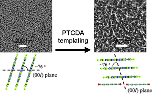 Graphical abstract: Nanowire-array films of copper hexadecafluorophthalocyanine (F16CuPc) fabricated by templated growth