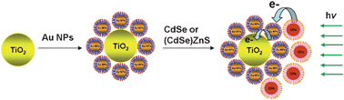 Graphical abstract: Enhanced photo-conversion efficiency of CdSe–ZnS core–shell quantum dots with Au nanoparticles on TiO2 electrodes