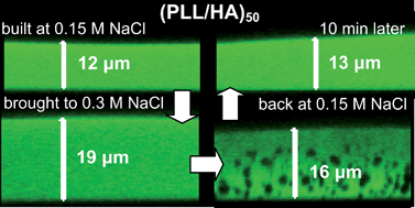 Graphical abstract: Restructuring of exponentially growing polyelectrolyte multilayer films induced by salt concentration variations after film deposition