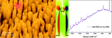 Graphical abstract: Self-standing corrugated Ag and Au-nanorods for plasmonic applications