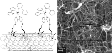 Graphical abstract: Photocurrent generation by MWCNTs functionalized with bis-cyclometallated Ir(iii)- and trisbipyridyl ruthenium(ii)- polypyrrole films