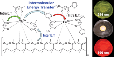 Graphical abstract: Intermolecular energy transfer and photostability of luminescence-tuneable multicolour PMMA films doped with lanthanide–β-diketonate complexes