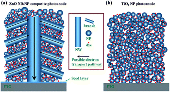 Graphical abstract: Three-dimensional ZnO nanodendrite/nanoparticle composite solar cells