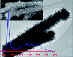 Graphical abstract: Synthesis and cathodoluminescence properties of CdSe/ZnO hierarchical nanostructures