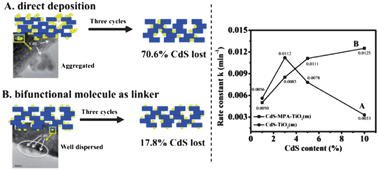 Graphical abstract: An enhanced CdS/TiO2 photocatalyst with high stability and activity: Effect of mesoporous substrate and bifunctional linking molecule