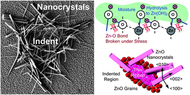 Graphical abstract: Spontaneous growth of one-dimensional nanostructures from films in ambient atmosphere at room temperature: ZnO and TiO2