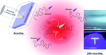 Graphical abstract: Photo-induced excimer formation of pyrene-labeled polymers for optical recording