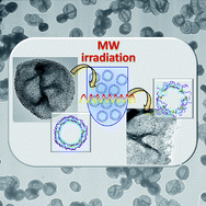 Graphical abstract: Synthesis and evaluation of gold nanoparticle-modified polyelectrolyte capsules under microwave irradiation for remotely controlled release for cargo