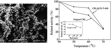 Graphical abstract: Facile one-pot synthesis of bimodal mesoporous carbon nitride and its function as a lipase immobilization support